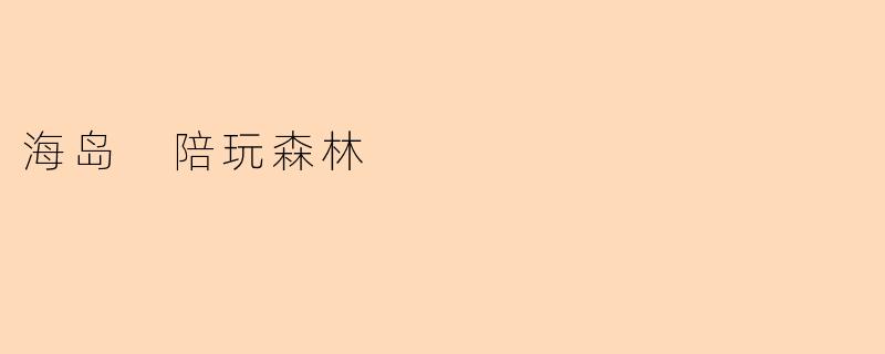 什么是“海岛陪玩森林”?它有什么特色体验?
